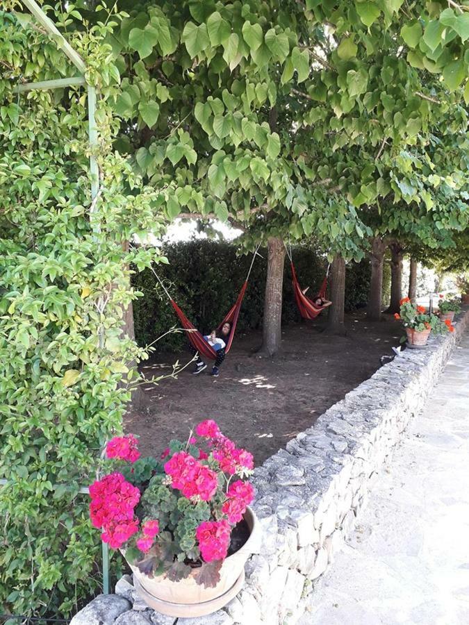 Villa Minerva Family Relais Alezio Exterior foto